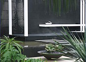 landscaping-with-mist-fog