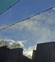 fogging system supressing odour